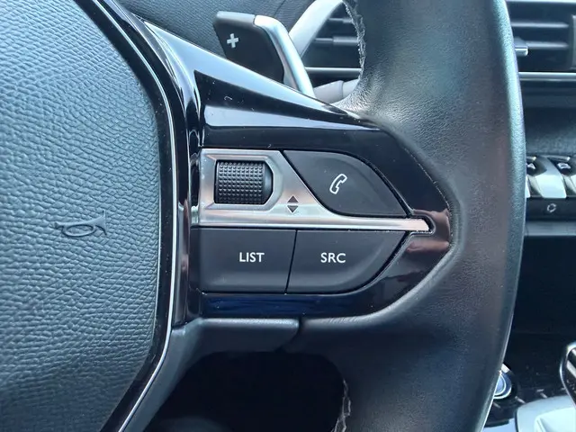 Peugeot 3008 1.6 PureTech GT Line 2019 Benzine 14