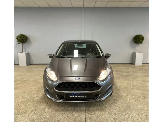 Ford Fiesta 1.25 - 5 Deurs - Airco - 2016 Benzine 2
