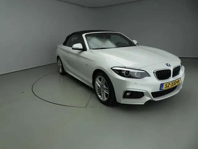 BMW 2 Serie Cabrio 220i 2018 Benzine 25