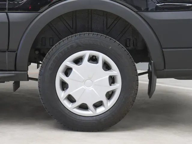 Ford Transit 310 2.0 TDCI L2H2 Trend 2024 Diesel 23