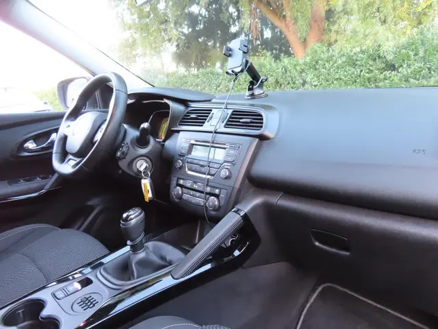 Renault Kadjar 1.2 TCe Life 2016 Benzine 13