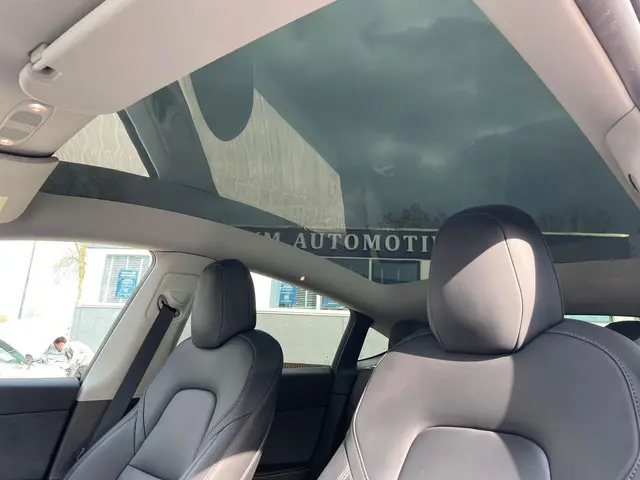Tesla Model Y Long Range AWD 75 kWh 2022 Elektrisch 9