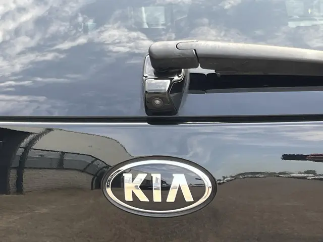 Kia e-Niro ExecutiveLine 64 kWh 2019 Elektrisch 57