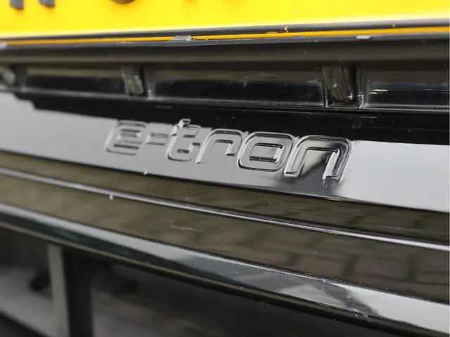 Audi e-tron Sportback 55 quattro 95KWh 2021 Elektrisch 13