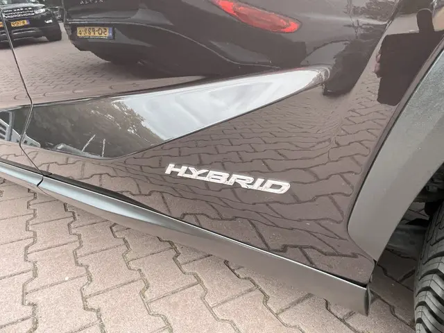 Lexus NX 300h 25th Edition 2015 Hybride Benzine 53