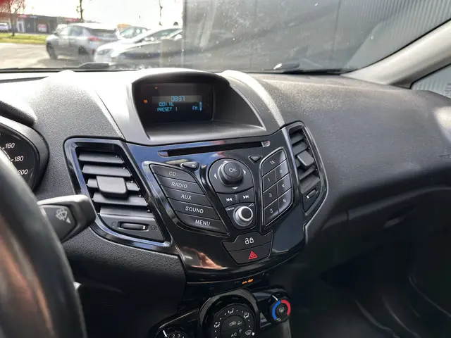 Ford Fiesta 1.0 EcoBoost Titanium | Trekhaak 2014 Benzine 21