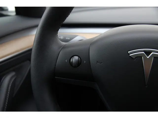 Tesla Model 3 Standard RWD Plus 60 kWh 2022 Elektrisch 36