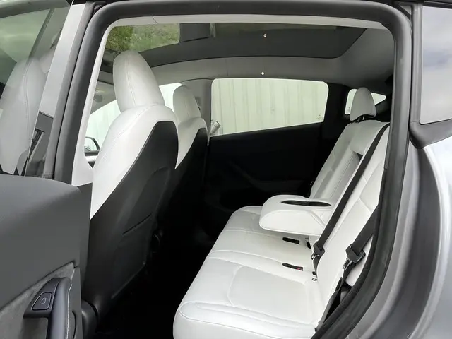 Tesla Model Y Long Range AWD 75 kWh 2023 Elektrisch 21