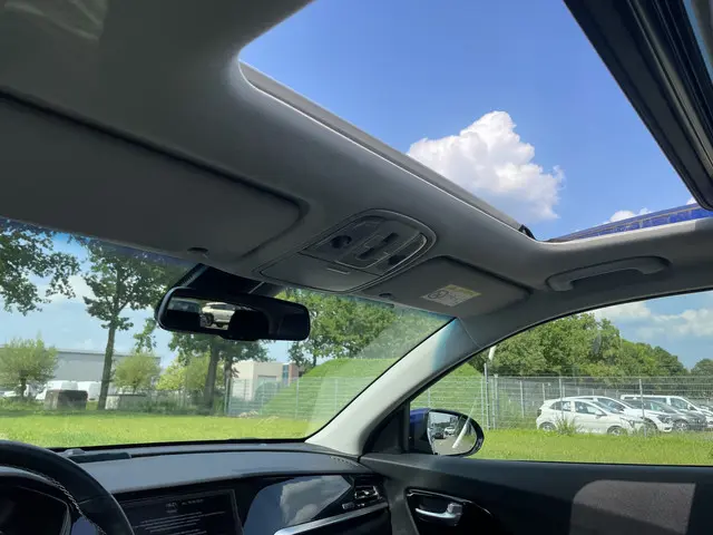 Kia e-Niro DynamicPlusLine 64 kWh 2022 Elektrisch 13