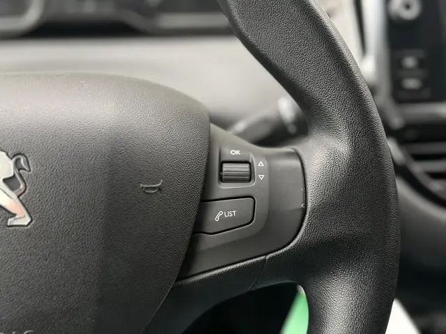 Peugeot 208 1.2 PureTech Blue Lion 2017 Benzine 22