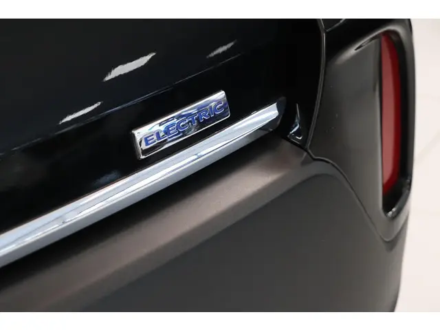 Dacia Spring Comfort Plus 27 kWh 2022 Elektrisch 28