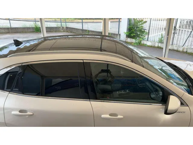 Ford Kuga 2.5 PHEV Vignale 2021 Hybride Benzine 5
