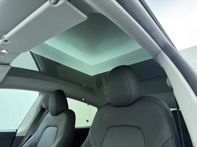 Tesla Model Y RWD 58 kWh 2023 Elektrisch 20