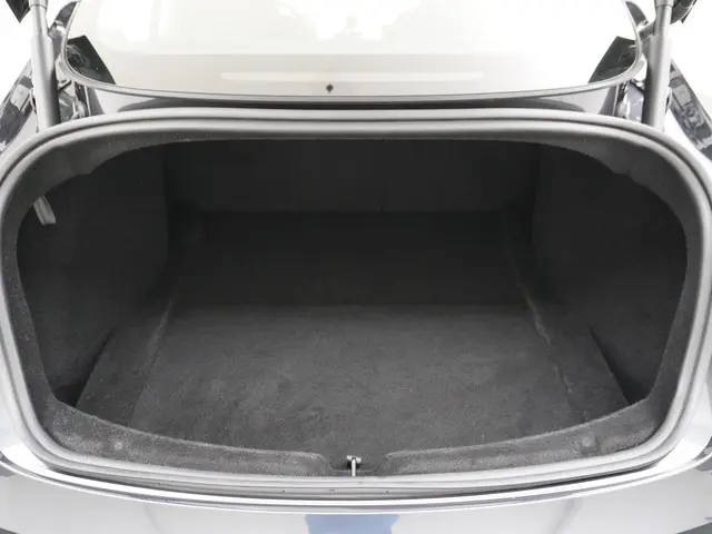 Tesla Model 3 Long Range AWD 78 kWh 2023 Elektrisch 11