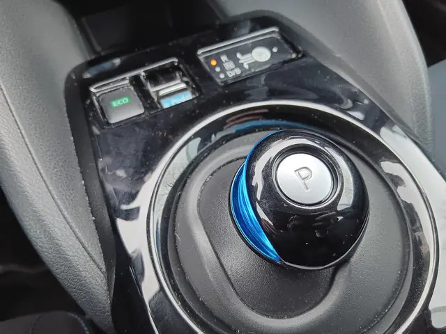 Nissan Leaf 40 kWh Acenta 2020 Elektrisch 17