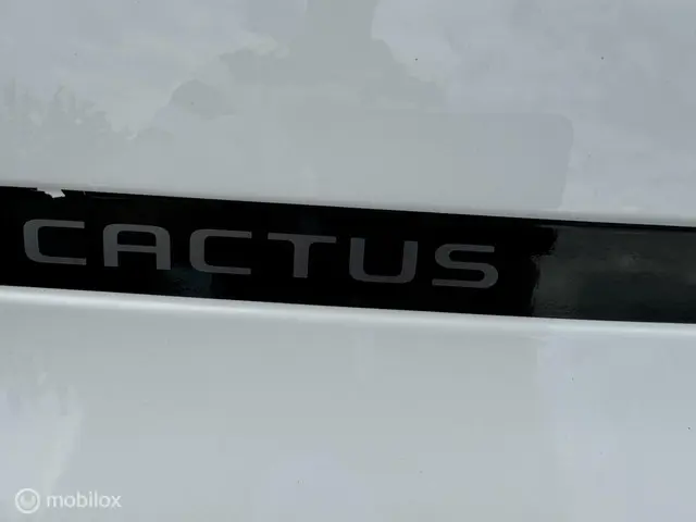 Citroën C4 Cactus NIEUWE APK 1.2 e-VTi Shine 2014 Benzine 3