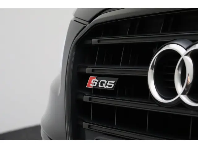 Audi Q5 3.0 TDI SQ5 quattro Pro Line 2014 Diesel 32