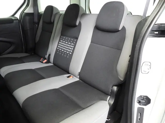 Citroën Berlingo 1.6 BlueHDi 4x4 Dangel 2016 Diesel 18
