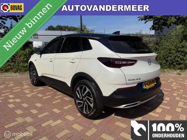 Opel Grandland X 1.2 Turbo Ultimate / Bomvol 2018 Benzine 2