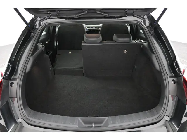 Lexus UX 300e Business 54 kWh 2020 Elektrisch 23