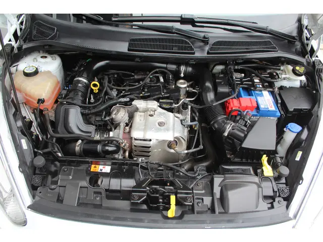 Ford Fiesta 1.0 EcoBoost 126 Pk Titanium 2014 Benzine 34