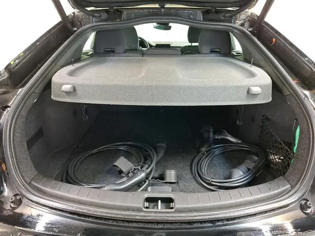 Polestar 2 Standard Range Single Motor 2021 Elektrisch 9