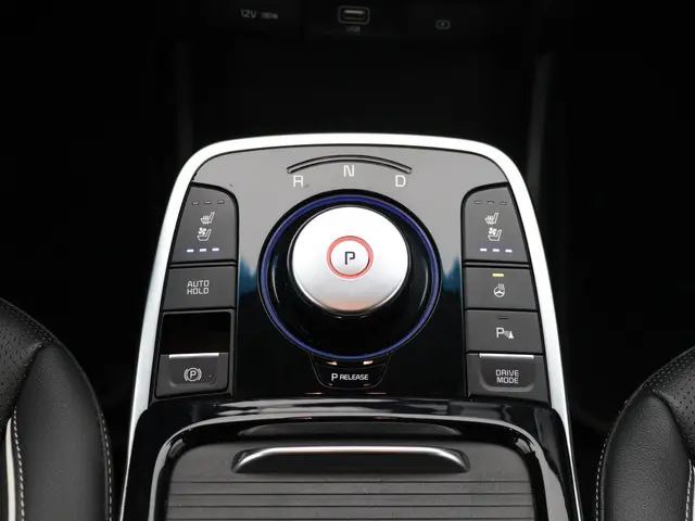 Kia e-Niro ExecutiveLine 64 kWh Leder 2019 Elektrisch 20