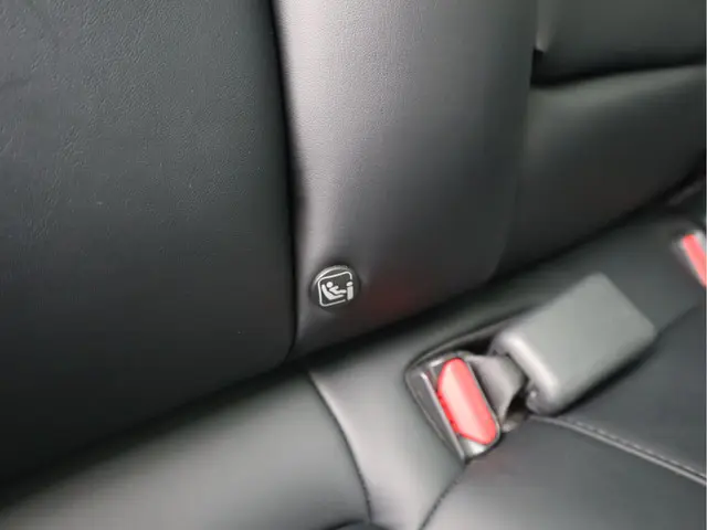 Tesla Model 3 Standard RWD Plus 60 kWh 2020 Elektrisch 30