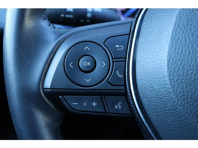 Toyota RAV4 2.5 Hybrid Bi-Tone JBL 2020 Hybride Benzine 17