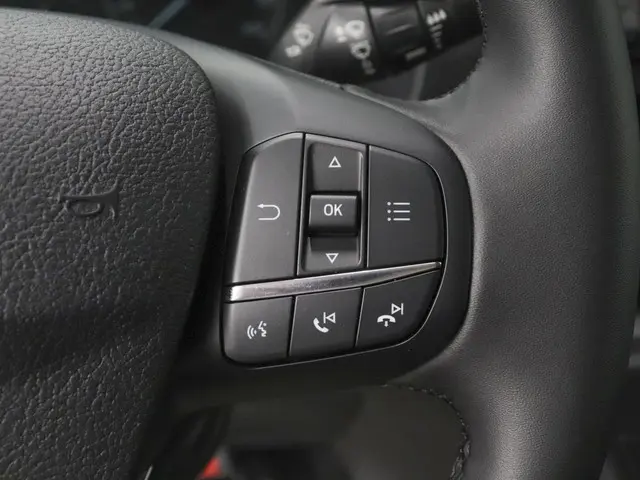 Ford Transit 290 2.0 TDCI L2H2 Trend 2024 Diesel 30