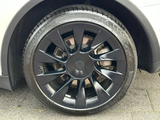 Tesla Model Y Long Range AWD 75 kWh 2022 Elektrisch 7