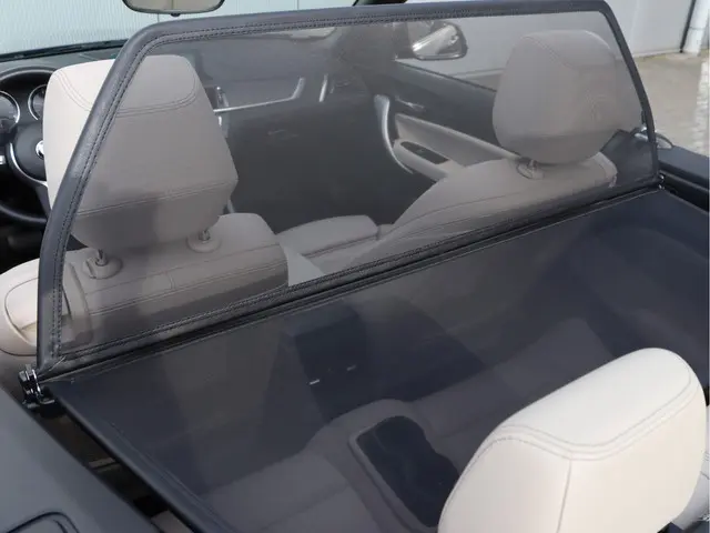 BMW 2 Serie Cabrio 220i High Executive 2021 Benzine 19