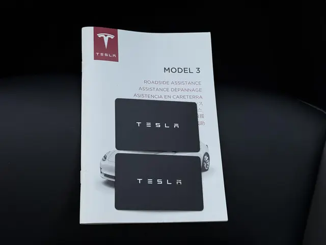 Tesla Model 3 Range Plus 2020 Elektrisch 23