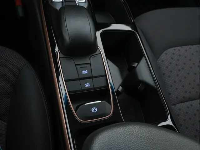 Hyundai IONIQ Comfort EV 2019 Elektrisch 12