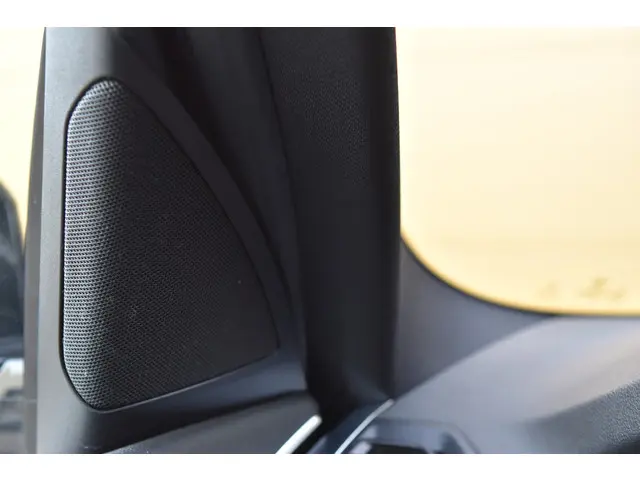 BMW X3 xDrive20i High Executive 2018 Benzine 36