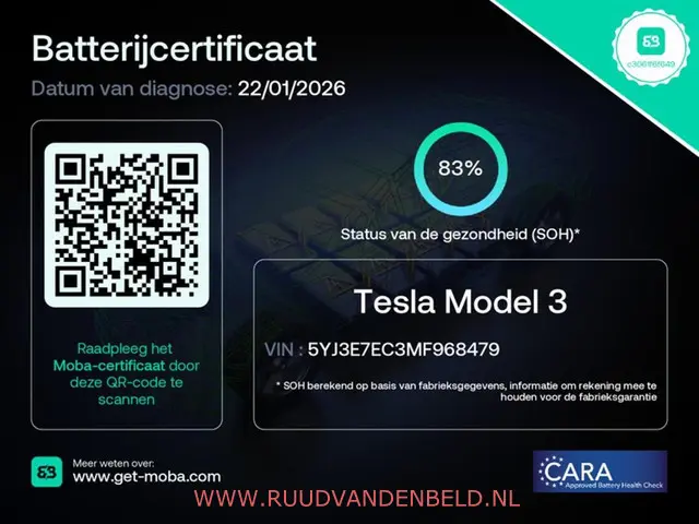 Tesla Model 3 Performance AWD 75 kWh 2021 Elektrisch 8
