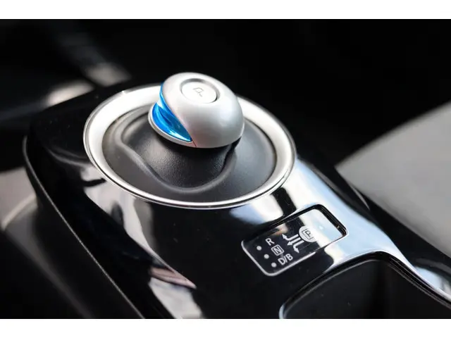 Nissan Leaf Visia 24 kWh | Alle Opties | 2015 Elektrisch 7