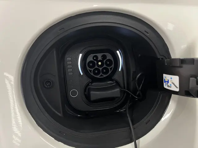 Fiat 500 Icon 42 kWh 2020 Elektrisch 41