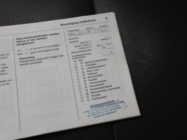 Opel Ampera-e LAUNCH EXECUTIVE 60 KWH 2018 Elektrisch 51