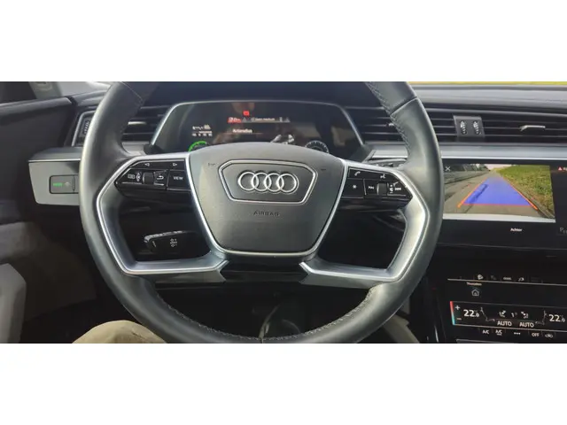 Audi e-tron 50 quattro S edition 71 kWh 2022 Elektrisch 12