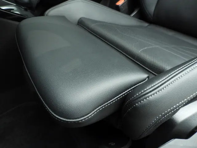 BMW iX2 eDrive20 2025 Elektrisch 30