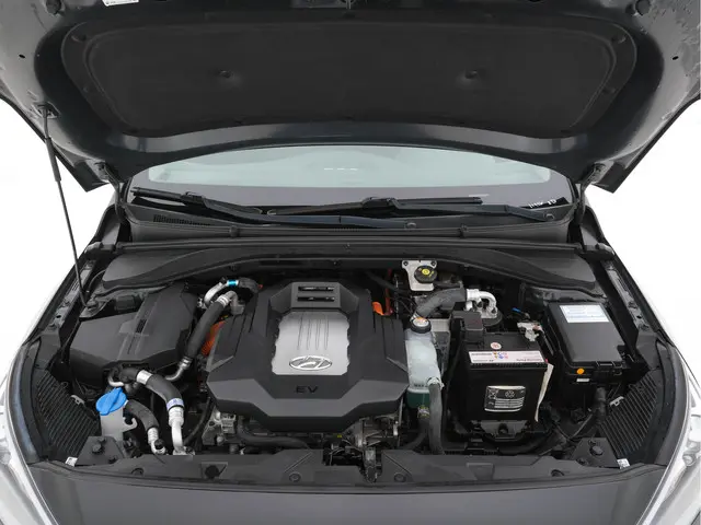 Hyundai IONIQ Comfort EV 2019 Elektrisch 24
