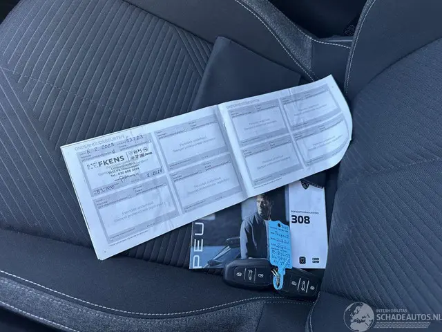 Peugeot 308 1.2 PT Act. Pack Bns 2022 Benzine 12