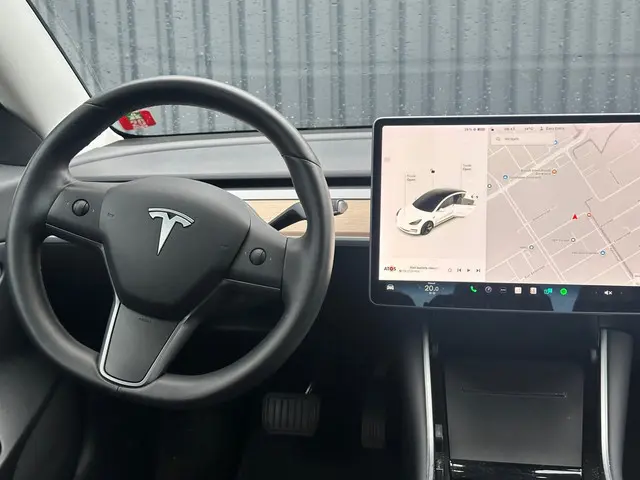 Tesla Model 3 Standard RWD Plus 60 kWh 2020 Elektrisch 18