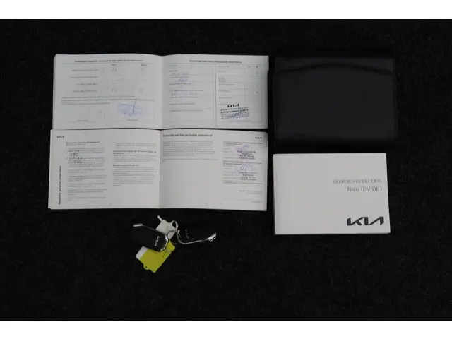 Kia e-Niro Edition 64 kWh 2022 Elektrisch 14