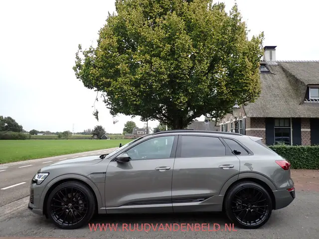 Audi Q8 e-tron 50 QUATTRO S-LINE 2023 Elektrisch 6