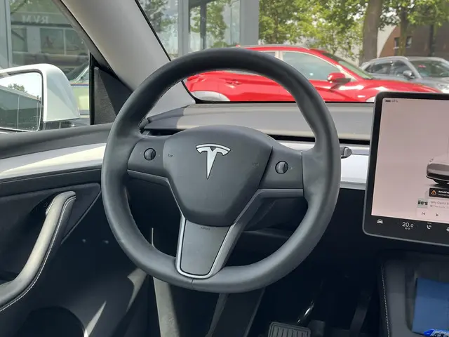 Tesla Model Y RWD 58 kWh 2022 Elektrisch 12