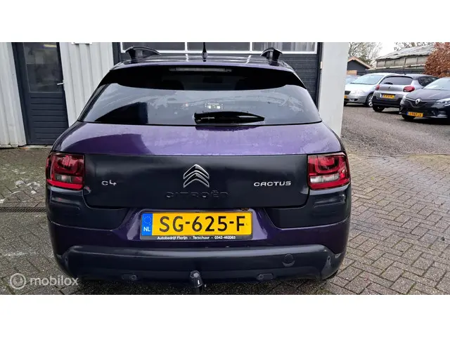 Citroën C4 Cactus 1.2 PureTech Business 2016 Benzine 4
