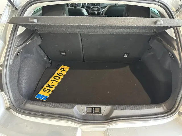 Renault Mégane 1.2 TCe Bose 2018 Benzine 9