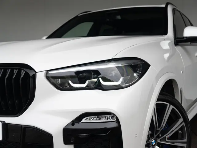 BMW X5 xDrive30d 2019 Diesel 13